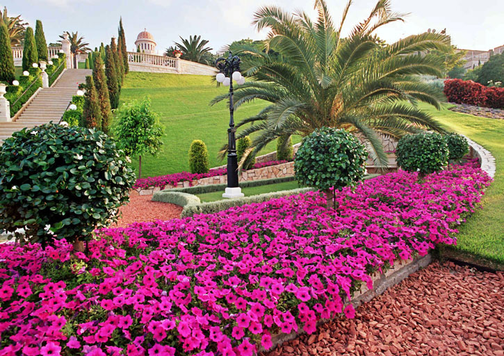 A tört agyagcserepekkel terített út színe kiemeli a virágok pompáját. (c) Bahá'í Nemzetközi Közösség media.bahai.org
